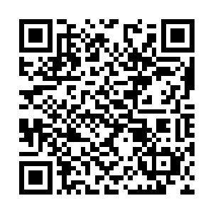 如果人族只有一位仙王强者他们会毫不犹豫的出手二维码生成