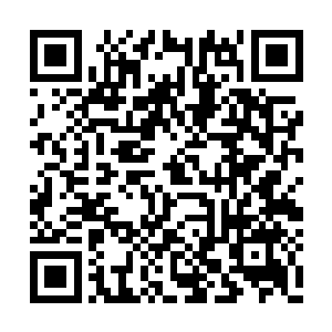 如果仅仅是华国研发出了新型的先进隐形战斗机二维码生成