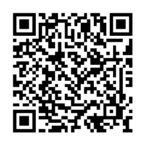 如果仅仅是将自己的法宝收回来那有啥难度可言二维码生成