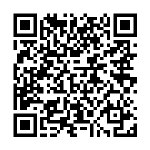 如果仅仅是520朵玫瑰是不足以表达朕对你的爱意的二维码生成