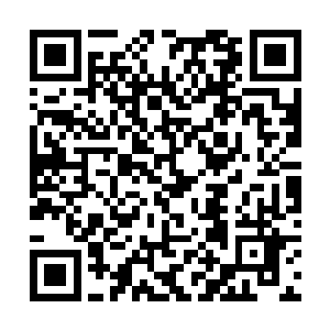 如果从前的叶玥是海棠那么现在的叶玥就更像是桂花二维码生成