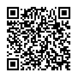 如果他不来的话那就是抗命――违令的结果是什么二维码生成