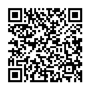 如果他之前就知道宇宙雏形的气息是从我本体体内散发出来的二维码生成