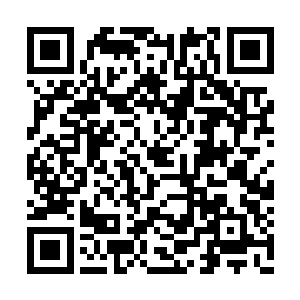 如果他们不满结果可以上诉甚至把学校告上法庭二维码生成