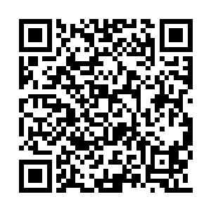 如果他们和圣域的差距真的大到无法逾越的地步二维码生成