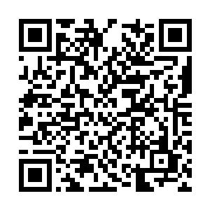 如果他们的小姐在康复以后能比得上季城主的一半二维码生成