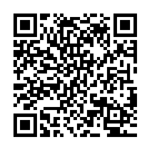 如果他们能够在这一战当中将石家的天才子弟全部解决掉的话二维码生成