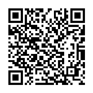 如果他发现有任何一个人和赵长枪一起到烂尾楼盘二维码生成