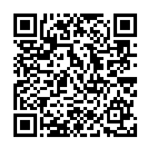 如果他早知道……如果早知道芸丫头真的能治好城主千金二维码生成