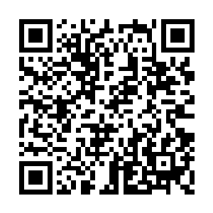 如果他能够不动用底牌就杀死一名圣级强者的话二维码生成