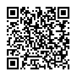 如果他能够凭借着自己的力量召唤来真正的风雨二维码生成