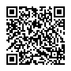 如果他能炼化其中一株龙形奇药便能使古蛮功进入中期二维码生成