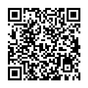 如果他赢了那么徐家以后都不可以去找徐老爷子的麻烦二维码生成