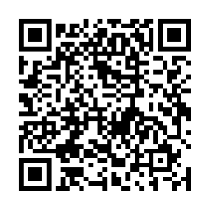 如果伙伴死了就等于破坏了主角承载对社会未来的使命二维码生成
