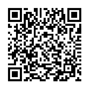 如果你不想跟那些刚毕业一样的大学生去挤人才市场二维码生成