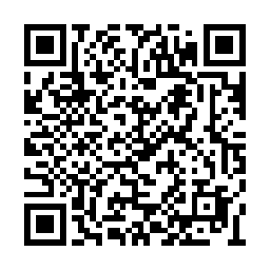 如果你不是每次回答前都要停顿组织语句来撒谎二维码生成