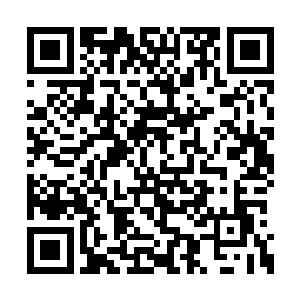 如果你们九天圣宫乖乖的服从和配合我们的决定二维码生成