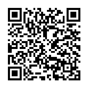 如果你们再磨磨唧唧不肯将紫晶灵石和千年血参交出来二维码生成