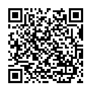 如果你们那边的人尊期修士在一招之内都被我杀死二维码生成