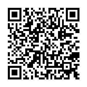 如果你十分喜欢这颗血珀珠那么我们可以用这颗珠子交换二维码生成