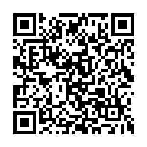 如果你只是想转移掉我们对你那笔巨款的注意力二维码生成