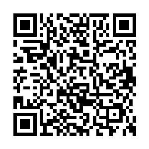 如果你在发现我怀了身孕后拖着我去医院做手术二维码生成