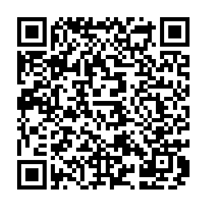 如果你在里面迷路的话……那么……最好的结果就是你会跟其他的鬼魂一样二维码生成