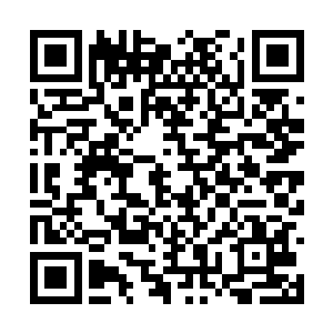 如果你将来能够将琅琊其他的身体部分也都给炼化二维码生成