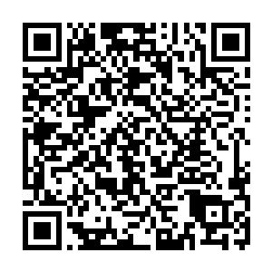 如果你当着全皇族学校所有师生的面向我认输我可以考虑将你收编进泰拳队二维码生成