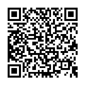 如果你想要得到这枚本命晶核以及那强大的武学二维码生成