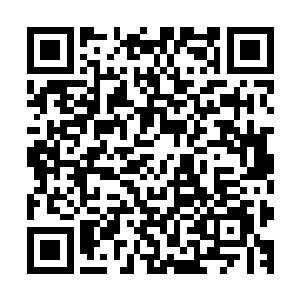 如果你有需要的话……除了核武器和生化武器我们无法提供外二维码生成