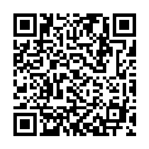 如果你没有杀了我的两个儿子……我们完全可以合作二维码生成