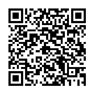 如果你肯将你们鬼宗内部所有情况全都告诉我的话二维码生成