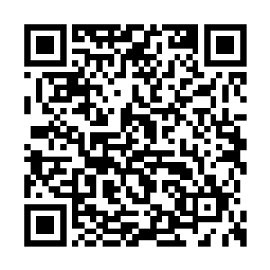 如果你能够将蜃龙界彻底炼化成你身体的一部分二维码生成