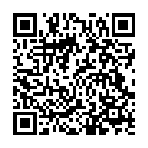 如果你要是做不到的话我要你一个渔季红利的百分之四十二维码生成