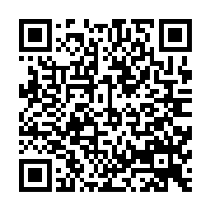 如果你要说这一次都是我引起我的错还要让学校对我惩罚的话二维码生成