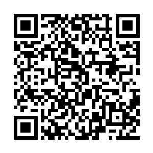 如果你觉得我的存在会给你和纪宸带来困扰的话二维码生成
