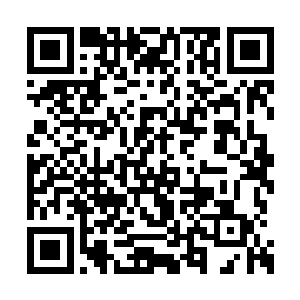 如果你赶上切割的时候是光切割了驾驶室上半截二维码生成