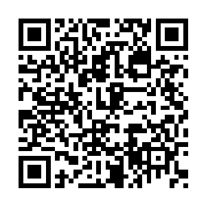 如果你逗了它们又不打算给它们一些可口的食物二维码生成