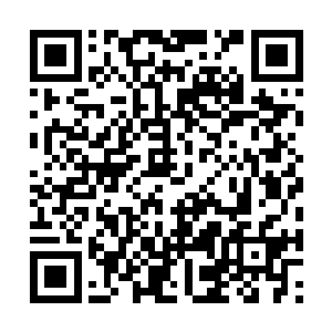 如果像是仆人一样的伺候我会是一种什么样的情景二维码生成