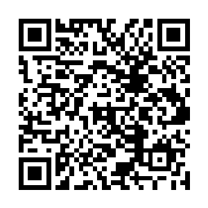 如果全聚德的人随随便便找个医生来给自己的父亲治病二维码生成