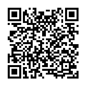 如果其他神兽都通过天启之旅去了一个神秘的地方二维码生成