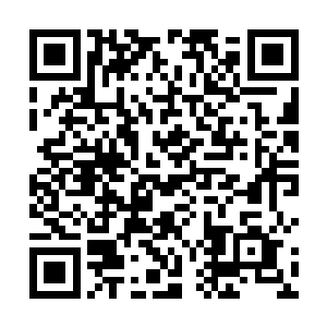 如果再像上次那样把凌菲拐带跑那么久他可真要生气了二维码生成