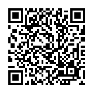如果再加上修真界里面的灵气浓度是地球上的近十倍二维码生成