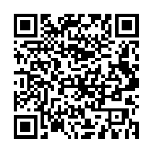 如果再加上去塔体验了一下在世界最高餐厅吃饭的感觉二维码生成