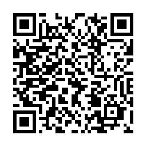 如果再次面对百族试炼场内的那个十一属性的修士二维码生成
