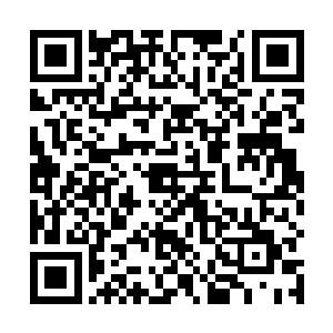 如果再活上个十年八年完全有能力培养出下一个继承人二维码生成