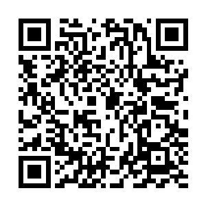 如果凤箫当真好像他表现的不顾一切答应季疏云的一切要求二维码生成