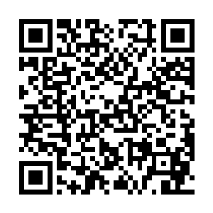 如果出现就意味着卫斯理所有的努力就全部的都白费了二维码生成