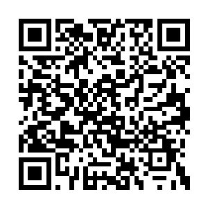 如果刘宇真不出来的话他们确实是没有丝毫办法二维码生成